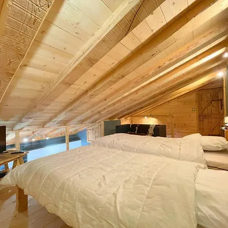 Appartement Duplex En Bois Aux Menuires, 3 Chambres, Parking, 6 Pers *
